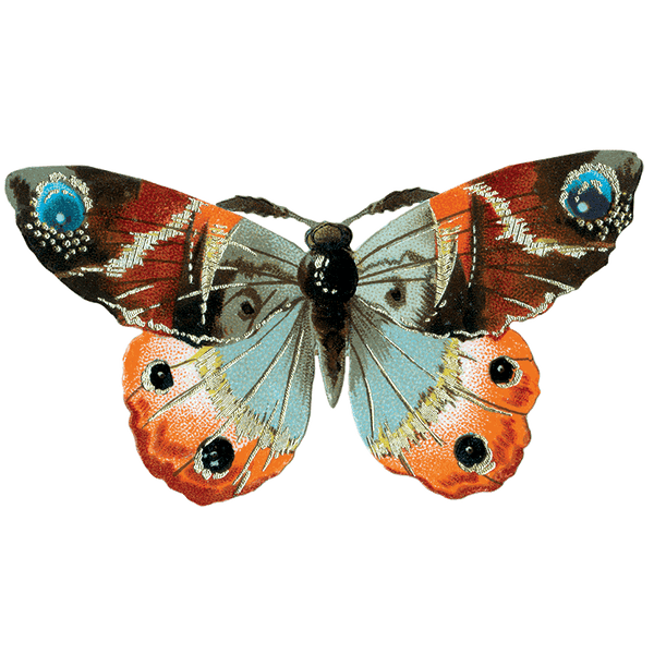 Butterfly Box - Everyday Sticker Box