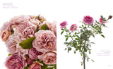 The Color of Roses