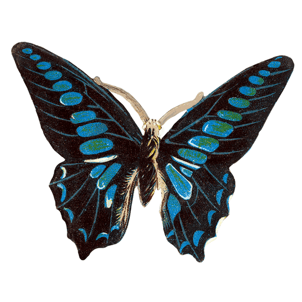 Butterfly Box - Everyday Sticker Box