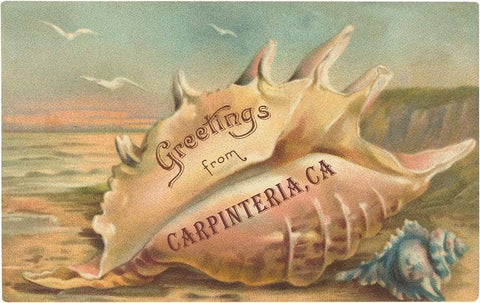 Greeting Card CA-916 Conch Shell Greetings from Carpinteria