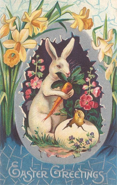 Postcard EA-324 Rabbit with Daffodils