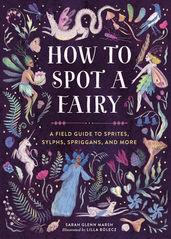 How to Spot a Fairy: Paper Over Board