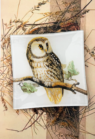 Sweet Owl Decoupage Glass Tray: 6"X 6"