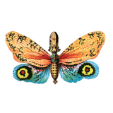 Butterfly Box - Everyday Sticker Box