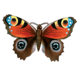Butterfly Box - Everyday Sticker Box