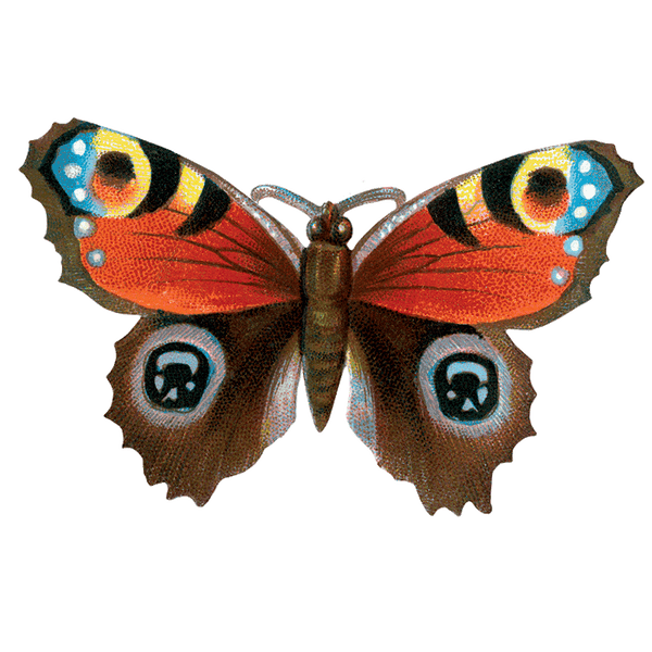 Butterfly Box - Everyday Sticker Box