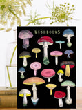 RS208P ~ Blank Greeting Card
