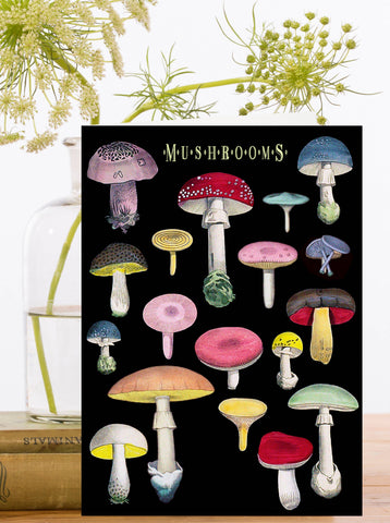 RS208P ~ Blank Greeting Card