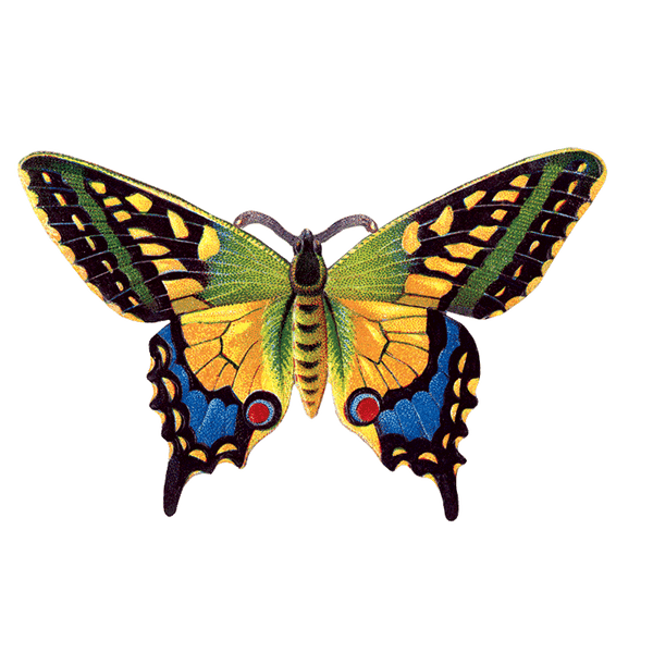 Butterfly Box - Everyday Sticker Box