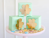 SPD1108 - Shamrock Treat Box
