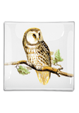 Sweet Owl Decoupage Glass Tray: 6"X 6"
