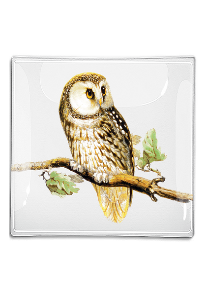 Sweet Owl Decoupage Glass Tray: 6"X 6"