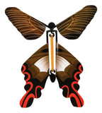 Prank U! Butterfly Surprise