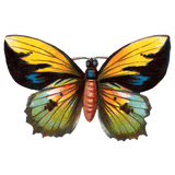 Butterfly Box - Everyday Sticker Box
