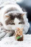 Mouse with Christmas Pudding Ornament-3"H
