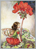 Flower Fairies - Everyday Boxed Postcards