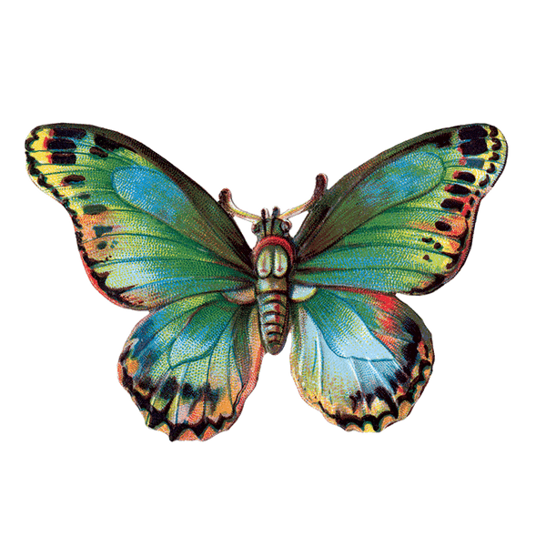Butterfly Box - Everyday Sticker Box