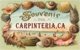 Greeting Card CA-917 Shell Border Souvenir from Carpinteria