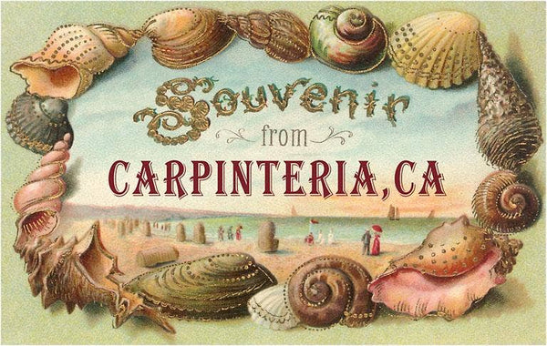 Greeting Card CA-917 Shell Border Souvenir from Carpinteria