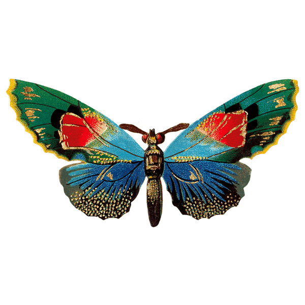 Butterfly Box - Everyday Sticker Box