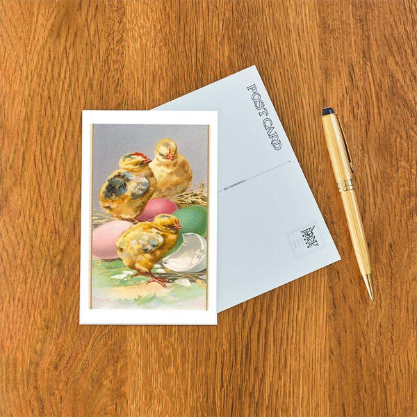 Postcard EA-67 Three Chicks and Eggs