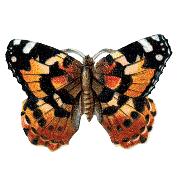 Butterfly Box - Everyday Sticker Box