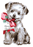 Merry Christmas - Christmas Greeting Card Packet
