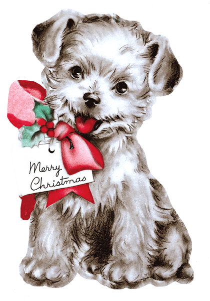 Merry Christmas - Christmas Greeting Card Packet