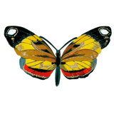 Butterfly Box - Everyday Sticker Box