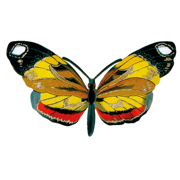 Butterfly Box - Everyday Sticker Box