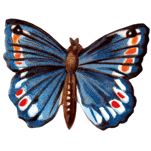 Butterfly Box - Everyday Sticker Box