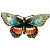 Butterfly Box - Everyday Sticker Box
