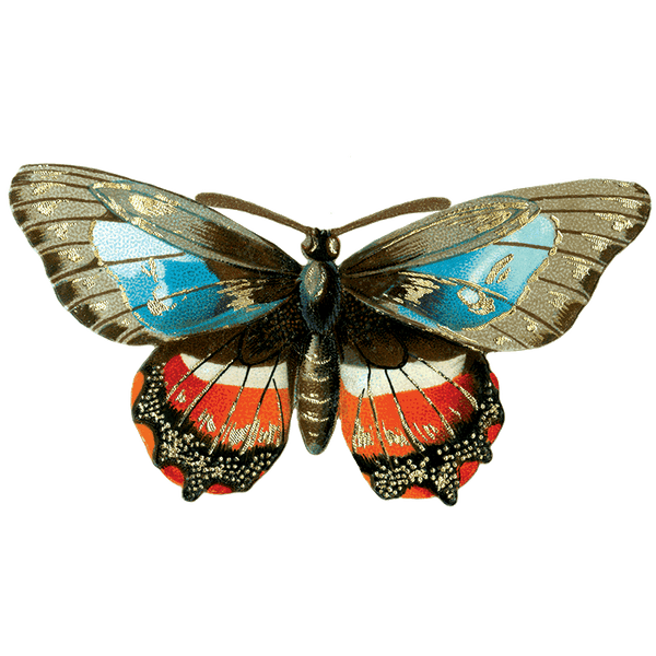 Butterfly Box - Everyday Sticker Box