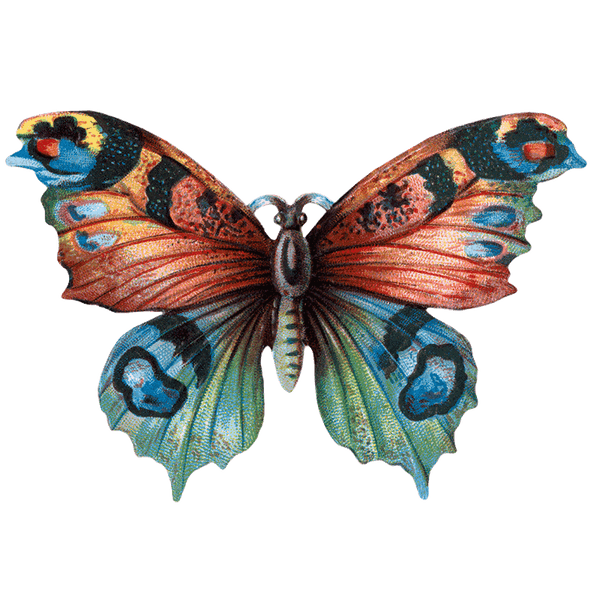 Butterfly Box - Everyday Sticker Box