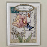 Greeting Cards-Easter, Spring, Mother's Day: Camelia