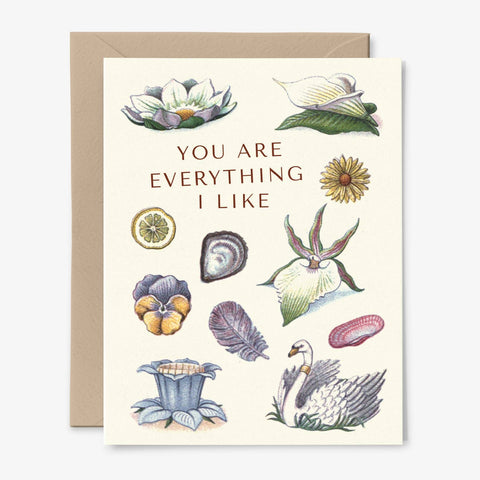 You Are Everything I Like | Collage | Friendship Card: Packaged in Plastic Sleeves