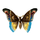 Butterfly Box - Everyday Sticker Box