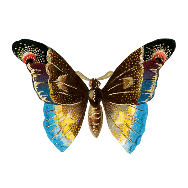 Butterfly Box - Everyday Sticker Box