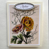 Greeting Cards-Easter, Spring, Mother's Day: Camelia