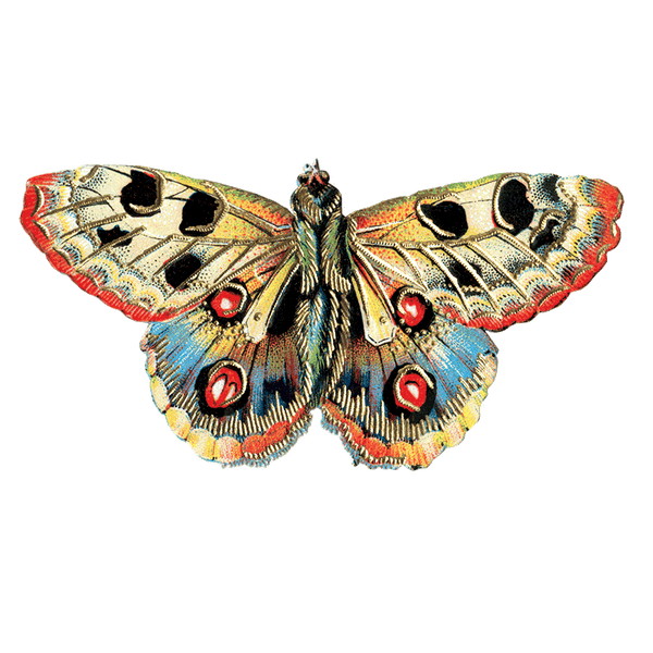 Butterfly Box - Everyday Sticker Box