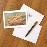 Greeting Card CA-916 Conch Shell Greetings from Carpinteria