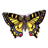 Butterfly Box - Everyday Sticker Box