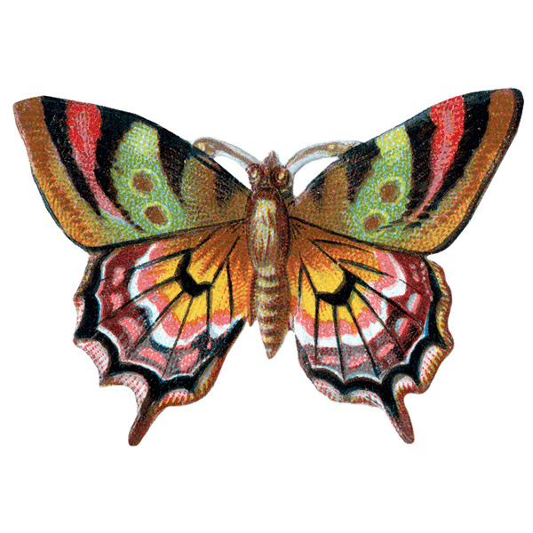 Butterfly Box - Everyday Sticker Box
