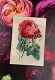 Glistening Pink Rose Decoupage Glass Tray: 4"X 6"