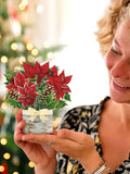Mini Birch Poinsettia (10 Pop-up Greeting Cards)
