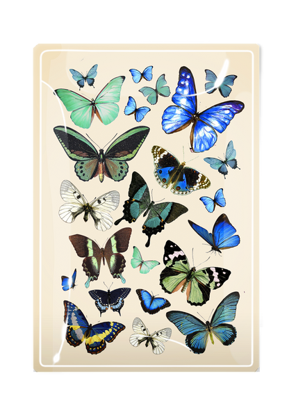 Blue Butterflies Decoupage Glass Tray: (2) 3.5"X 5.5"