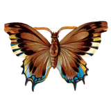 Butterfly Box - Everyday Sticker Box