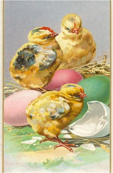 Postcard EA-67 Three Chicks and Eggs