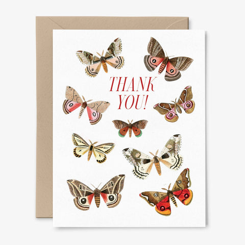 Thank You! Card | Moth | Butterfly | Vintage art: Packaged in Plastic Sleeves