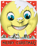 Merry Christmas - Christmas Greeting Card Packet